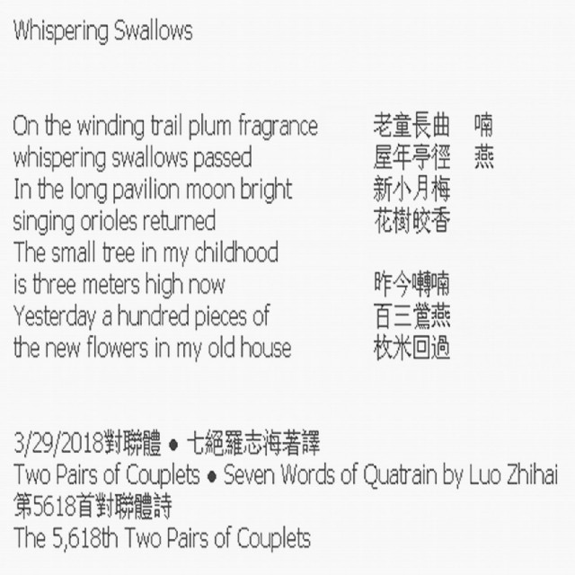 Whispering Swallows
