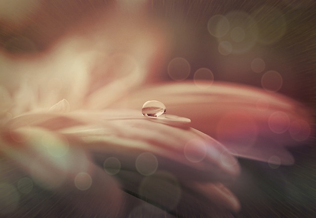 A Dewdrop From Heaven