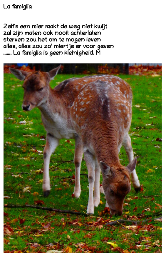 La Famiglia