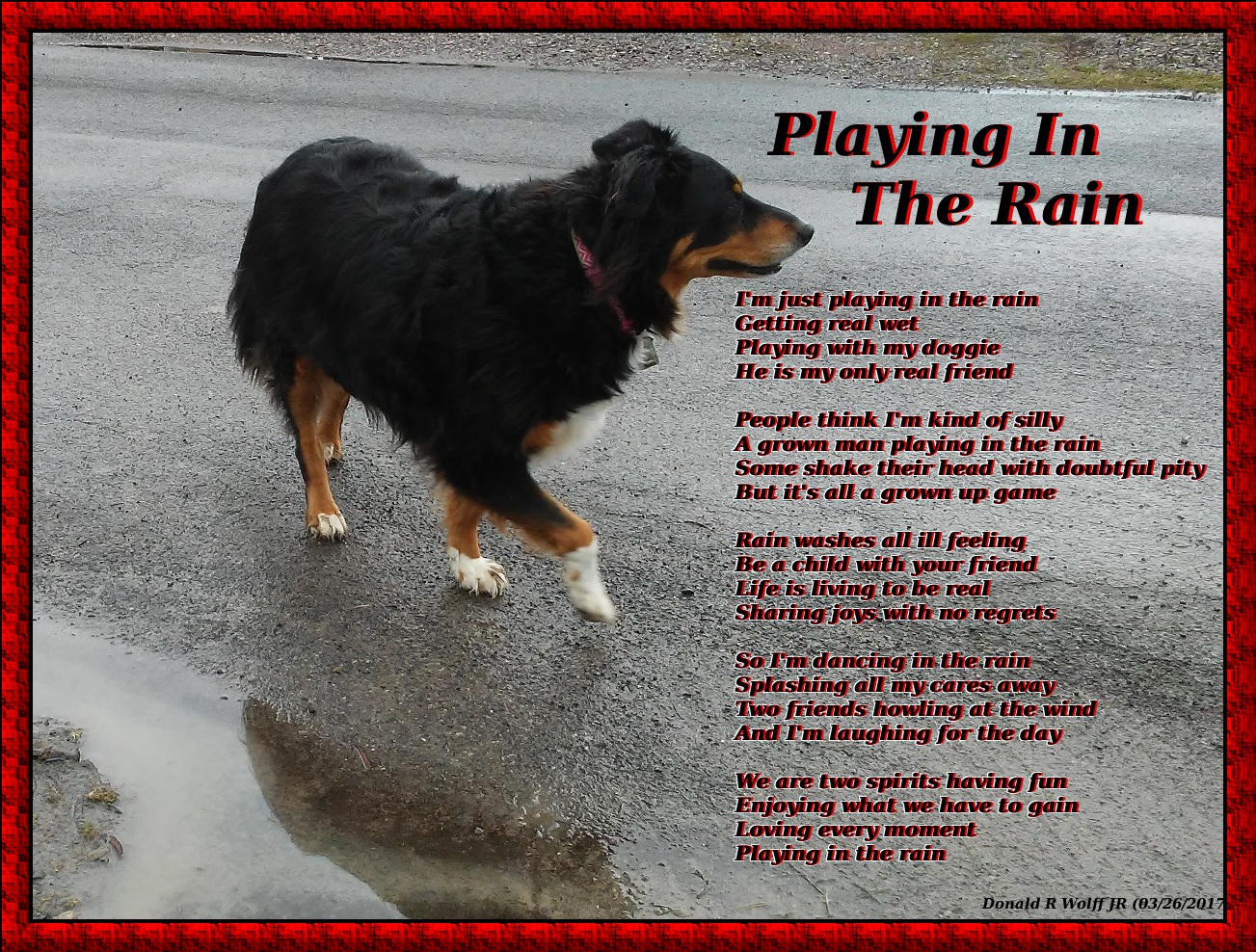 Playing In The Rain