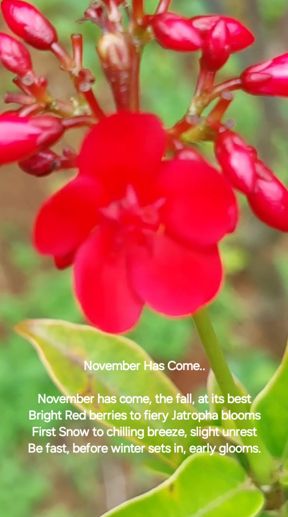 November Has Come..