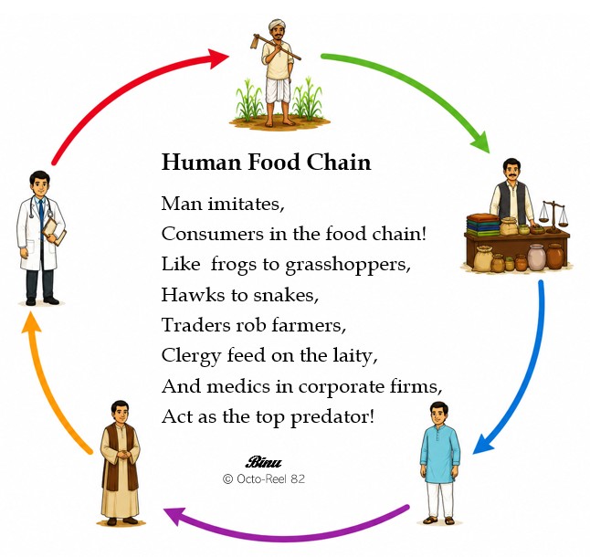 Human Food Chain