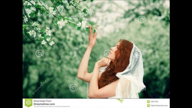 My Love In The Garden