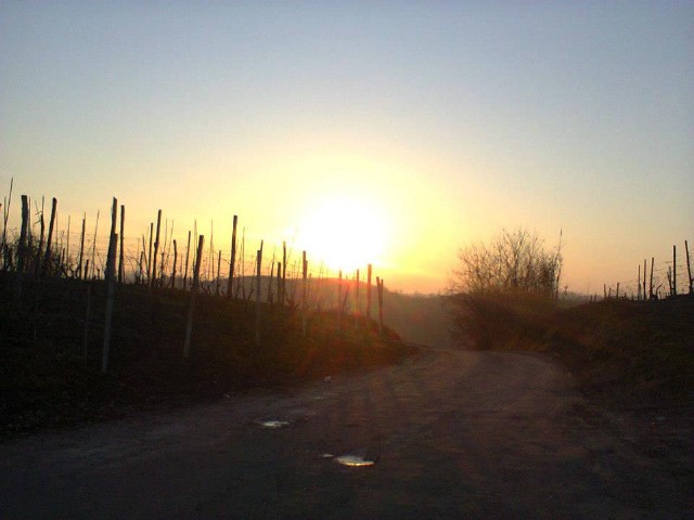 A New Day Of Silence And Happiness