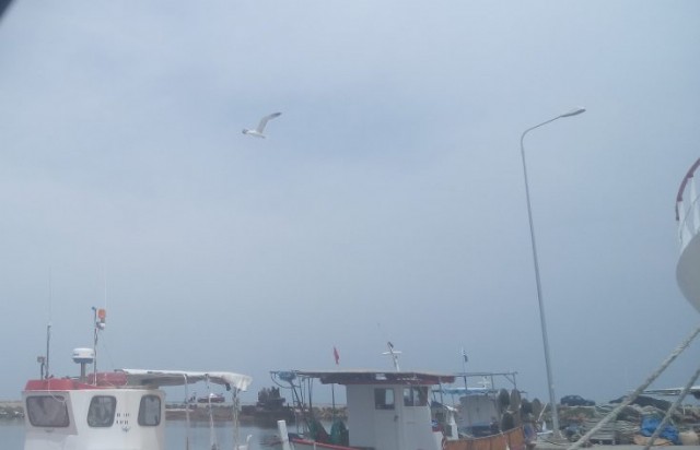 Θύμησέ Μου Να Ζήσω