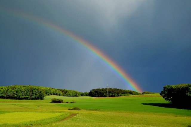 Rainbow (Haiku#3)