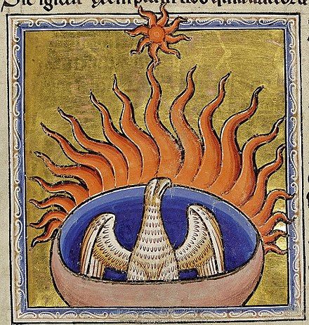 Earth's Next Phoenix