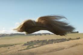 Up Up The Fly Away Wig Doth Go Revisited And Revised March 10th,2024...