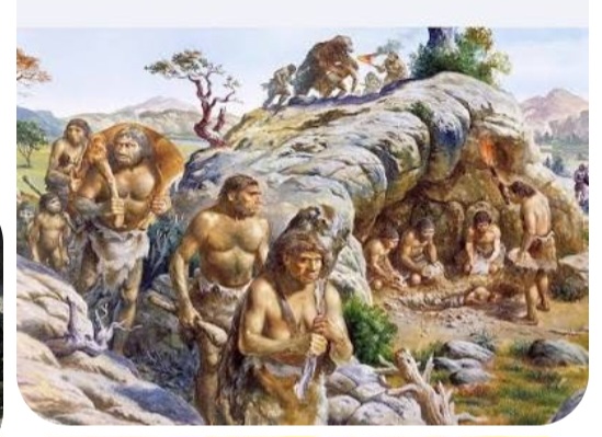 Homo Neanderthalis