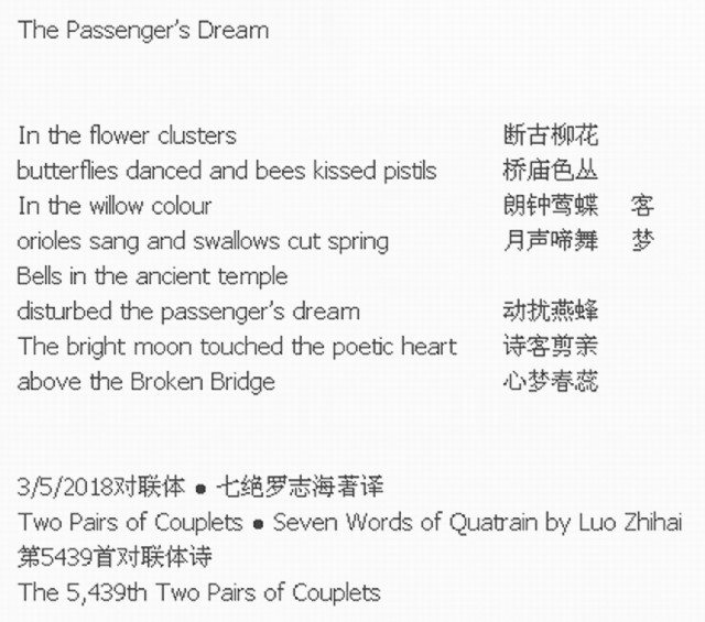 The Passenger's Dream