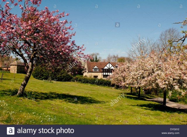 Cherry Tree Cottage