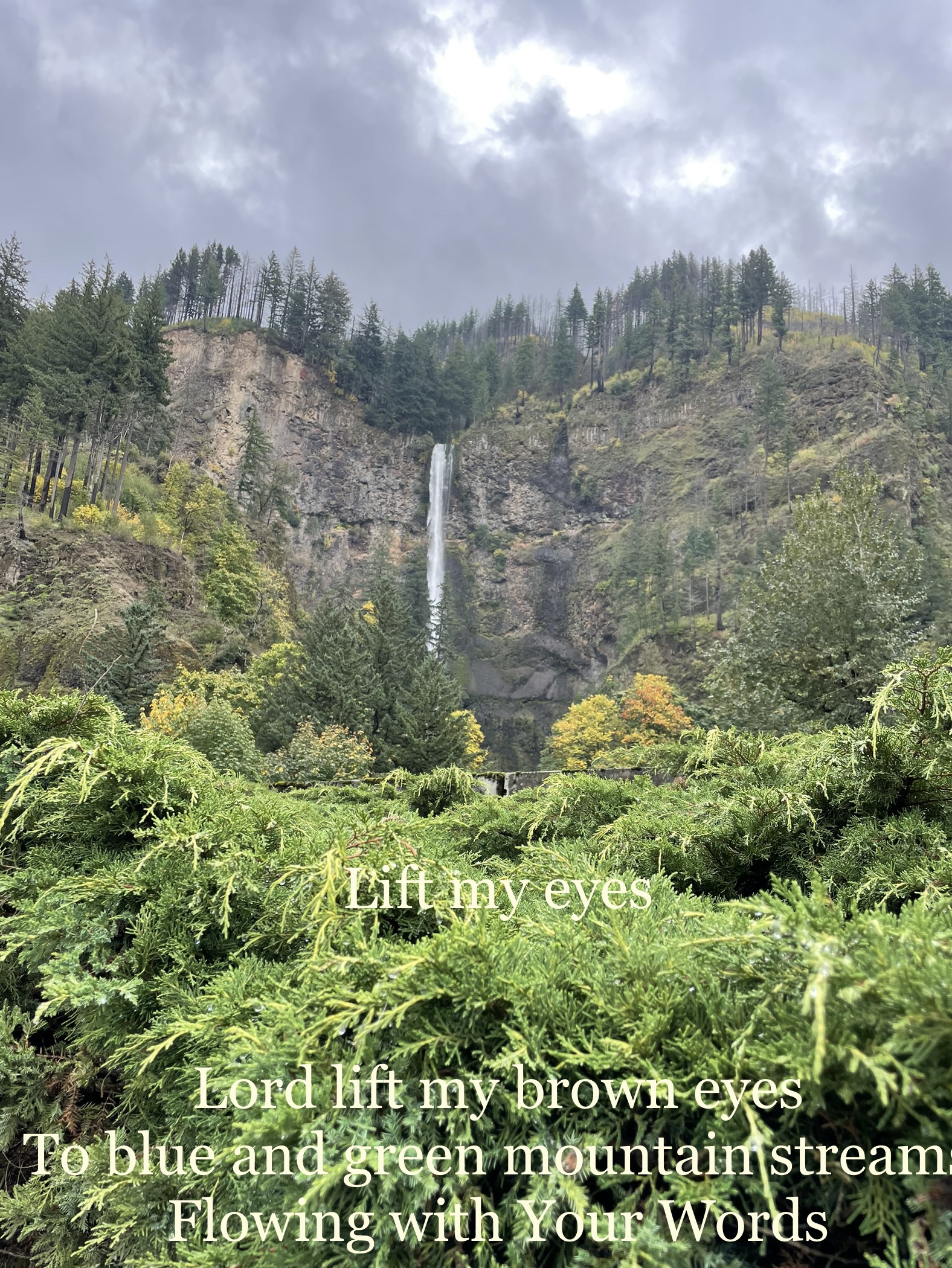 Lift My Eyes