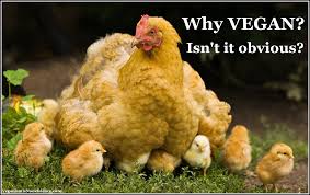 Zz Lou Gehrig's Diet