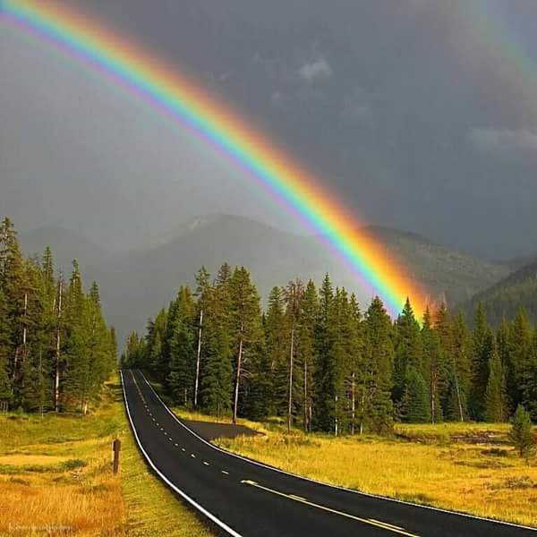 Rainbow A Beauty Of Rain And Sun