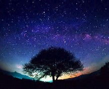 Oaks Of Righteousness   By Gio Masserati