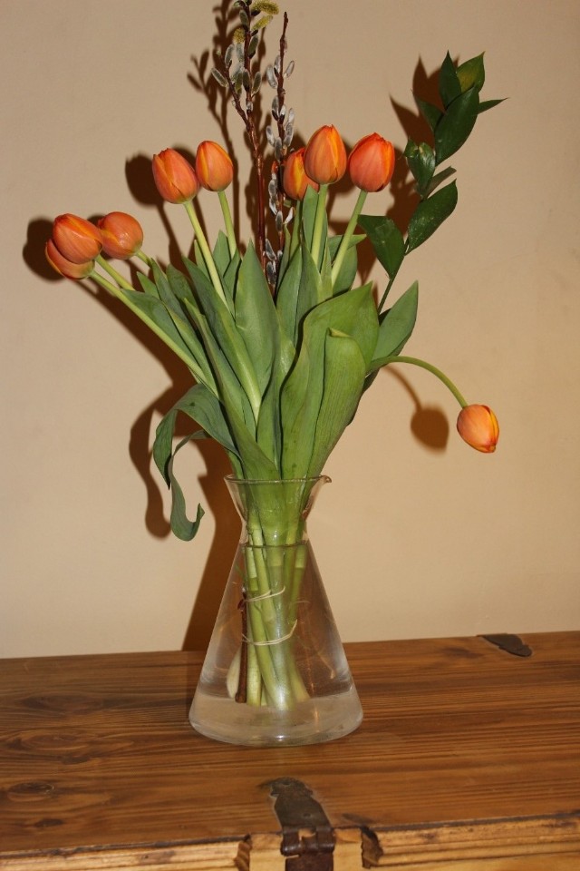 Tulips In A Conical Flask