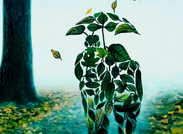 The Canopy Of Leaves