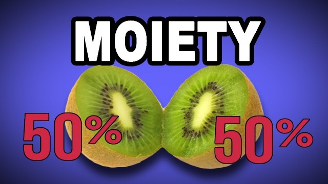 Fractions In English