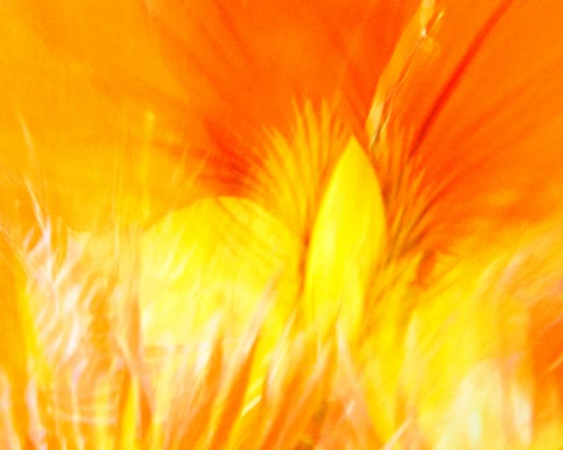 The Flames Of The Inner Flower