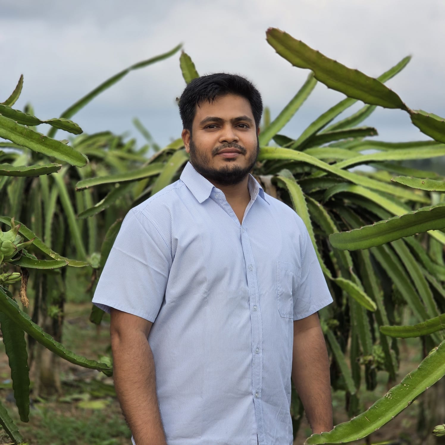 Mahtab Bangalee