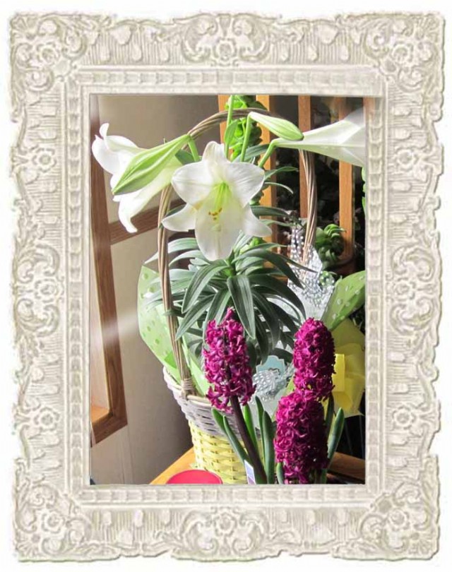 Easter Lily And Hyacinth