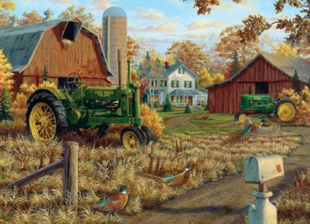 Autumn On The Farm