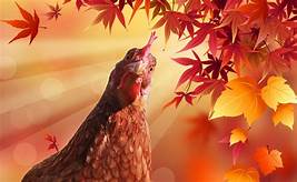 Autumn Chickens