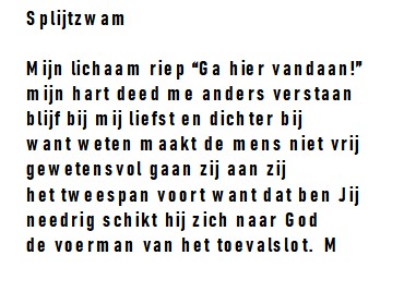 Splijtzwam..