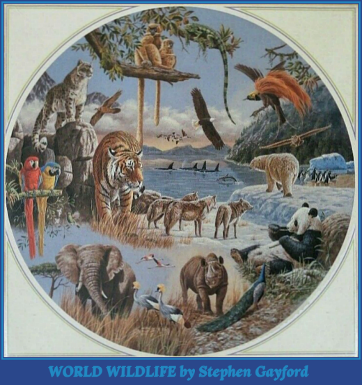 World Wildlife
