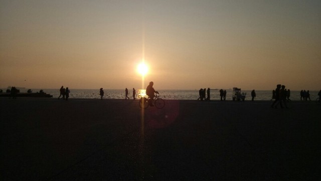 Αργό Ταξίδι Γυμνής Κουκίδας