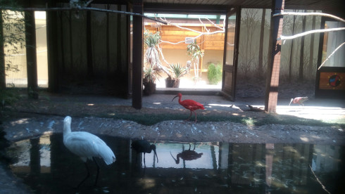 Σημεία Ζωής