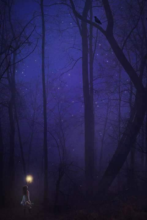 I Wander Alone