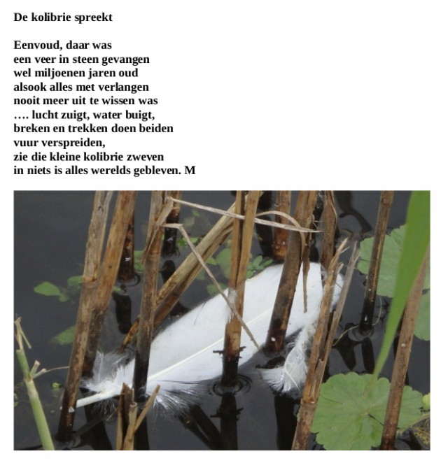 De Kolibrie Spreekt