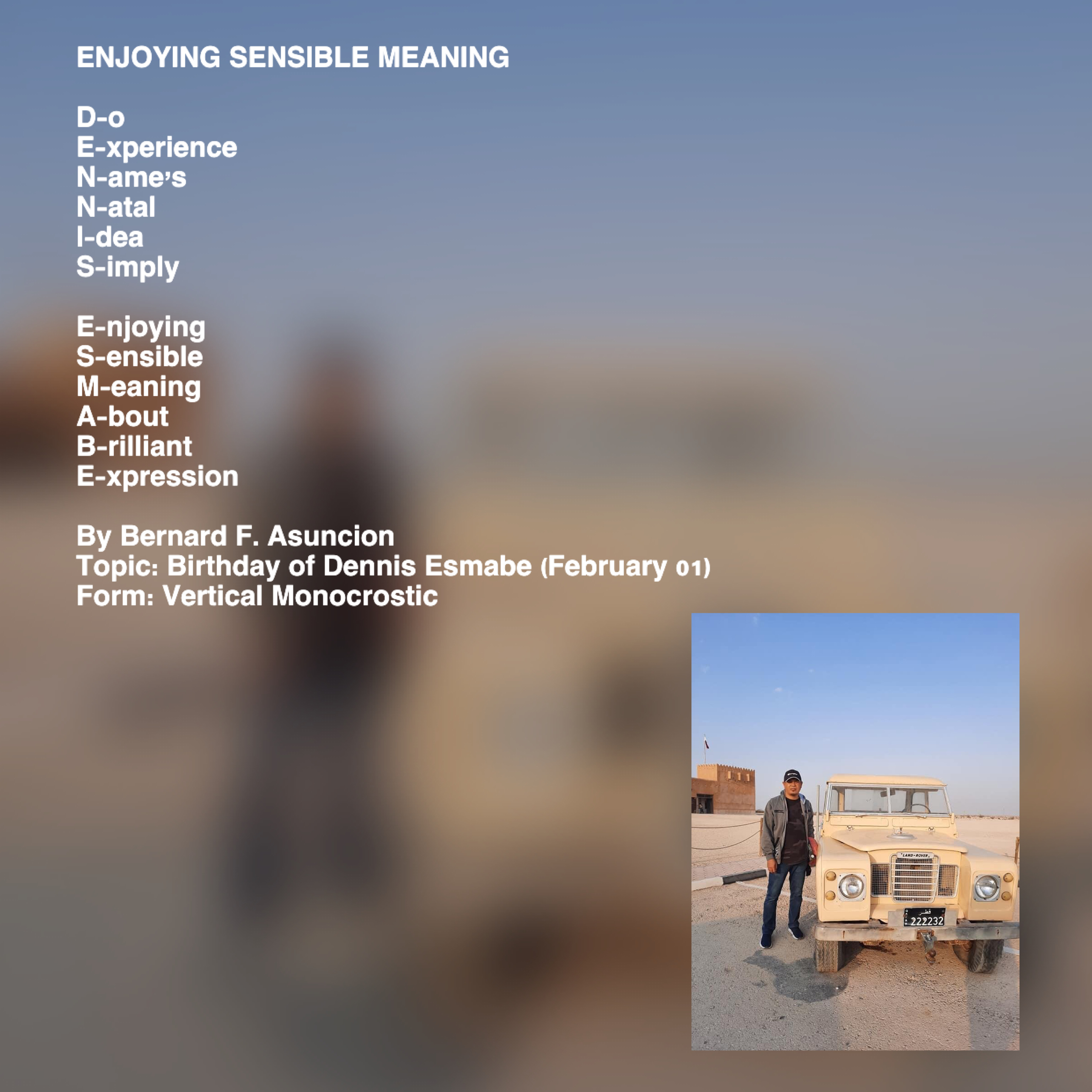 Enjoying Sensible Meaning