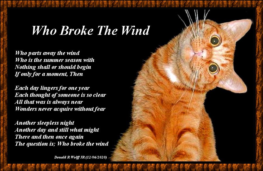 Who Broke The Wind