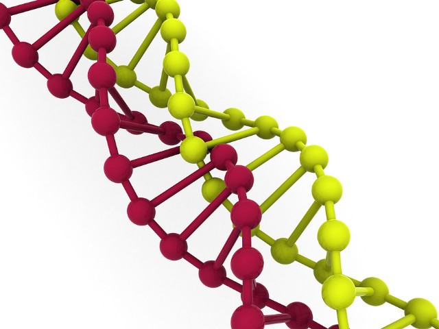 Unique Gene