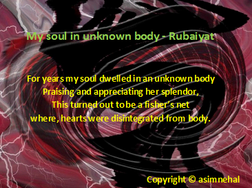 My Soul In Unknown Body - Rubaiyat