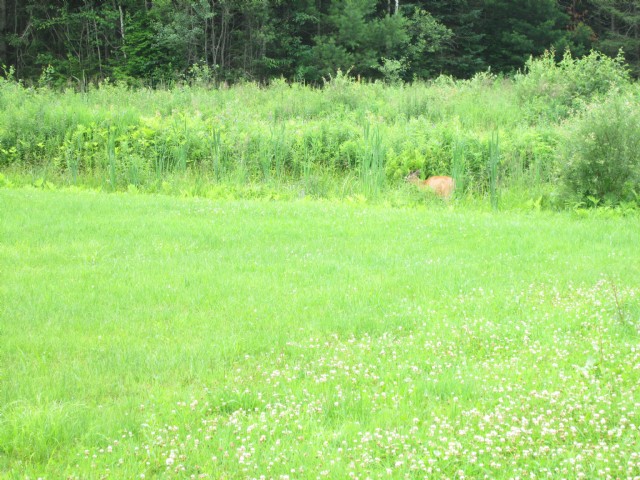 First Of Two Contrast Poems