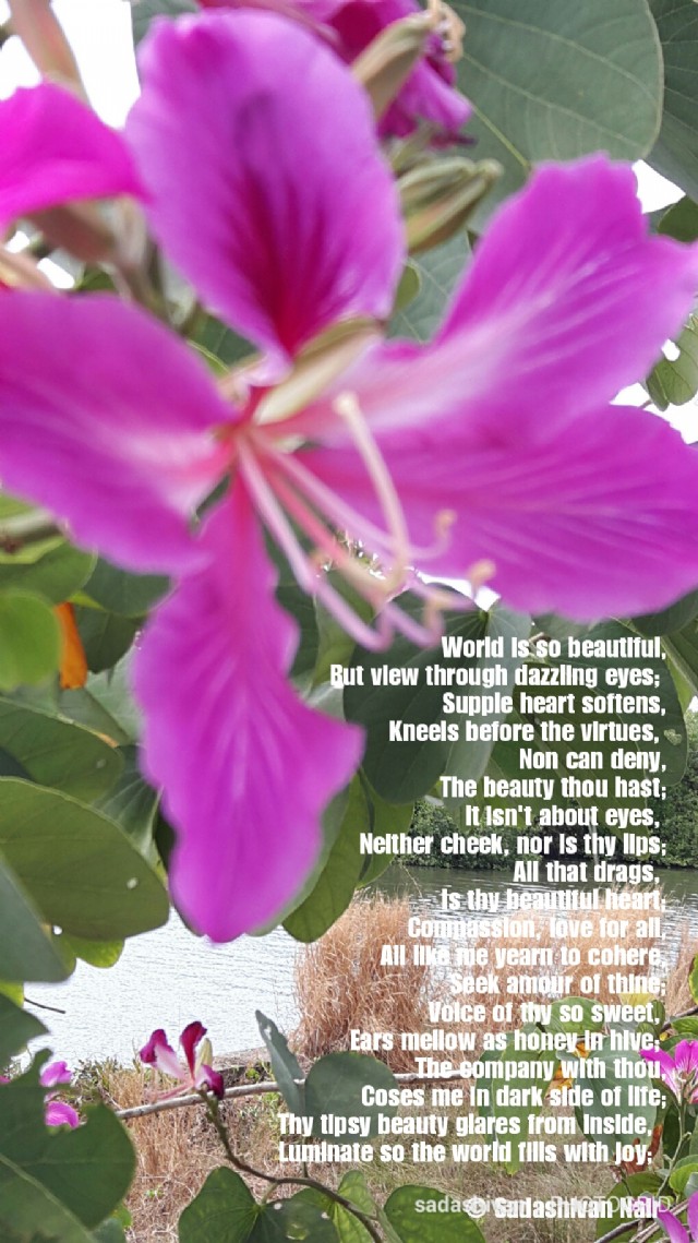 You Are So Beautiful