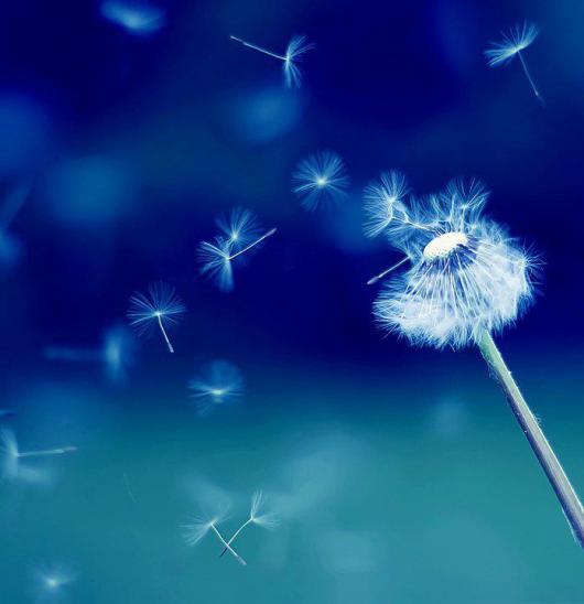 Snow On A Hot Autumn Day