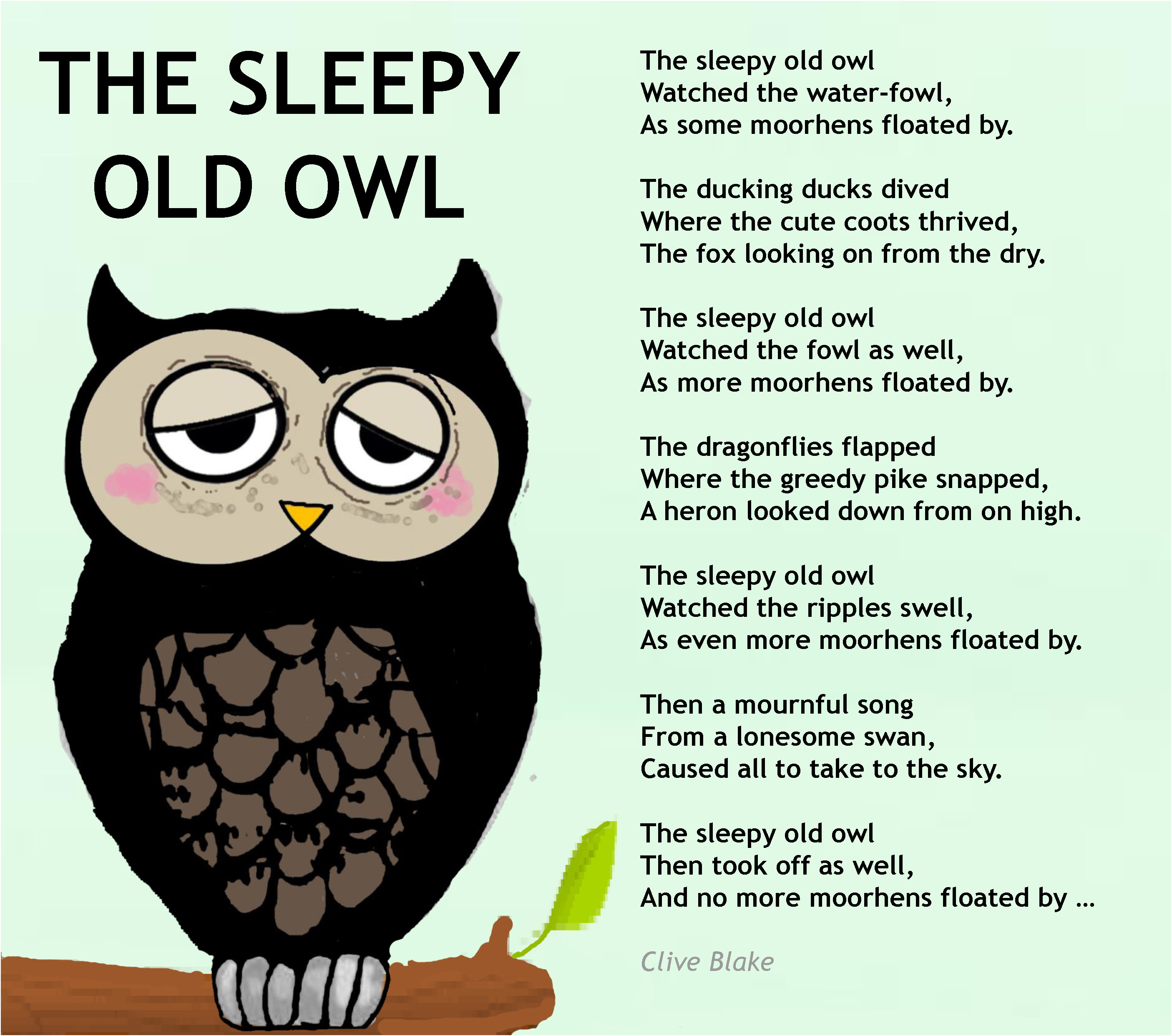 The Sleepy Old Owl