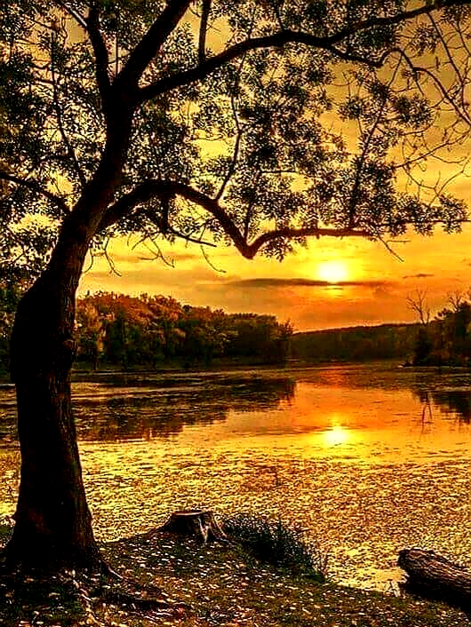 Vedic Prayer 3 - A Peace Chant From Yajur Veda