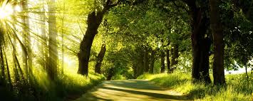 Feel The Nature