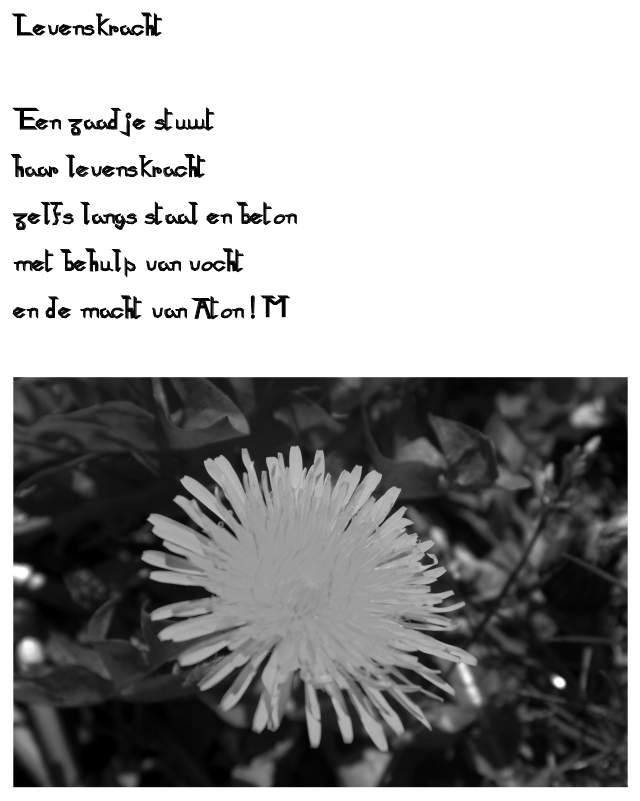 Levenskracht