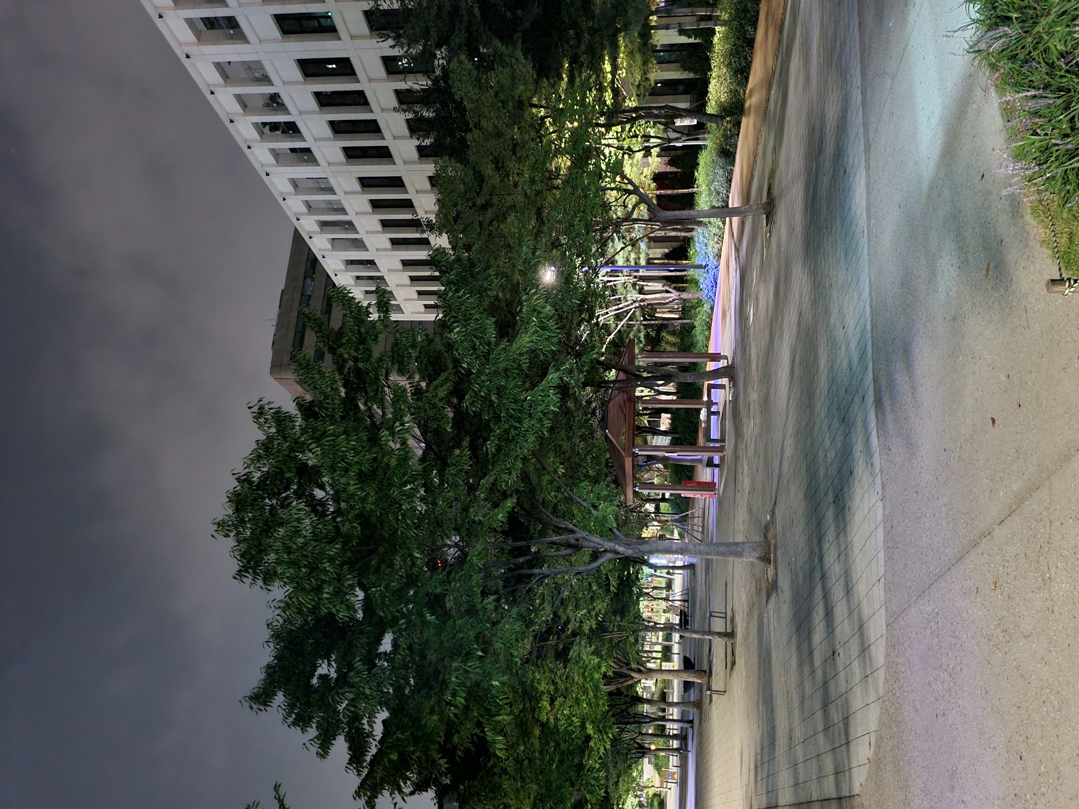 The Landscape Of The Kyung-Eui Line Park At Midnight