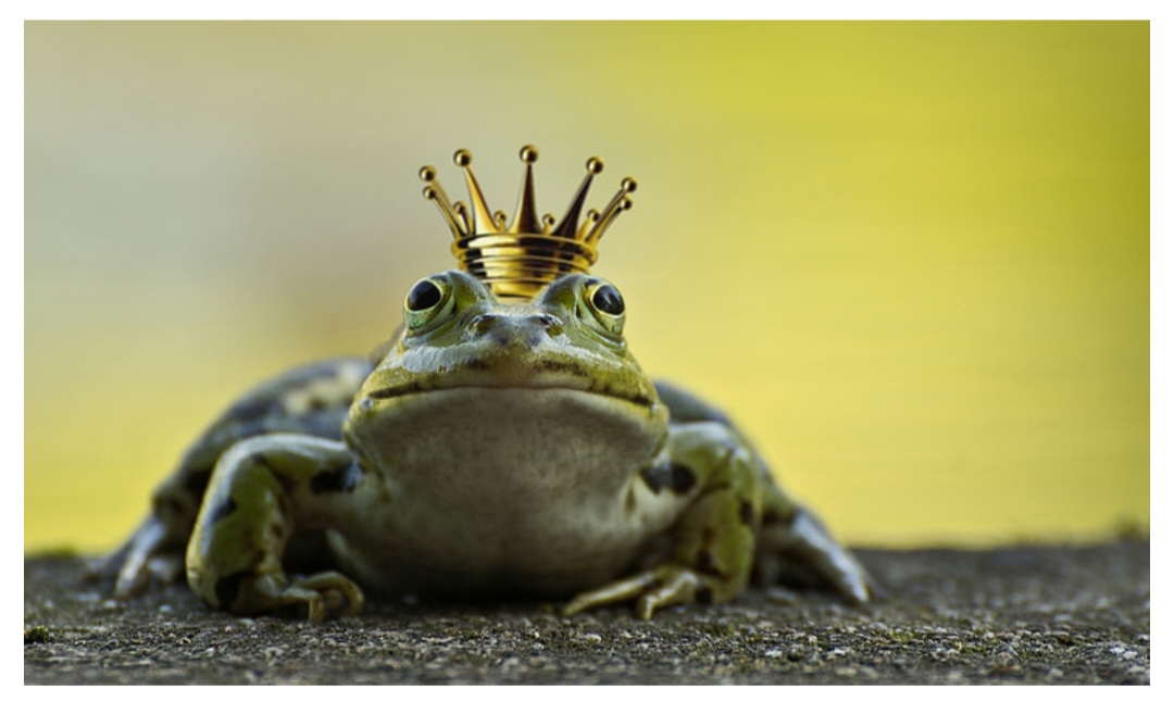 The Winner Takes It All