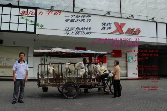 Five Goats Milk Of Jieyang