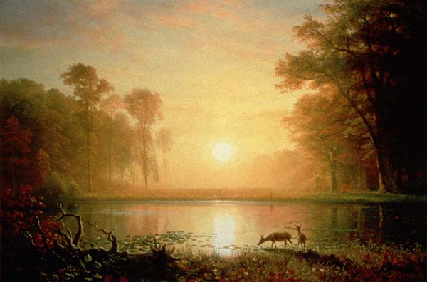 A Sunrise In The New World