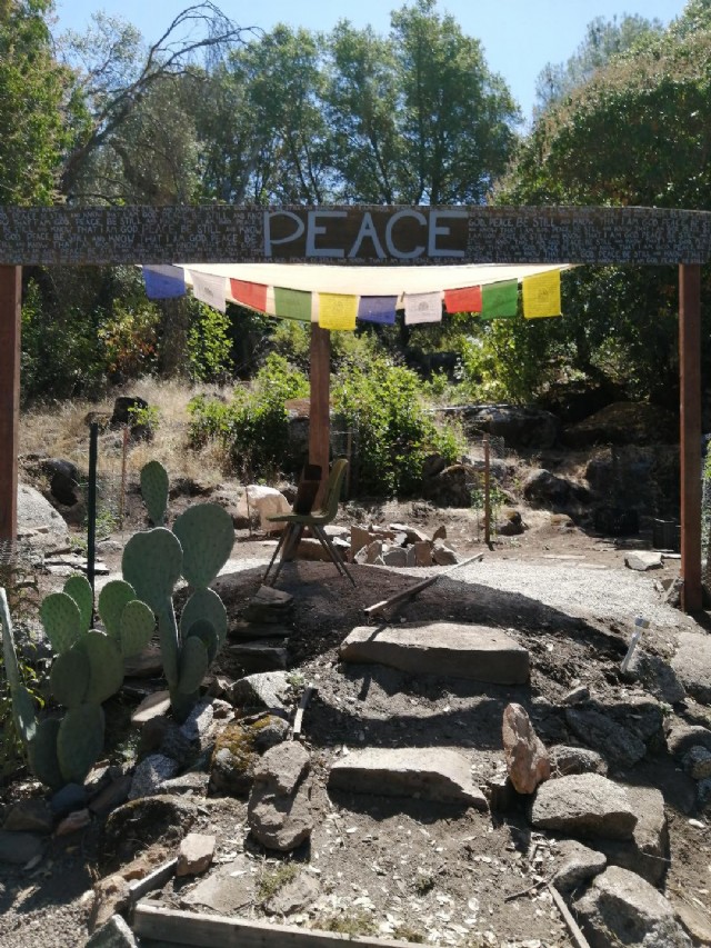 Peace And Love, The Important Stuff (And Tacos)