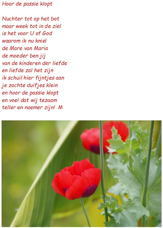 Hoor De Passie Klopt